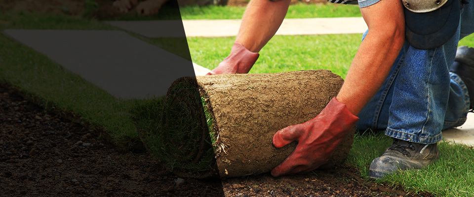Port Jefferson Station Landscapers